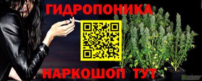 марихуана Новозыбков